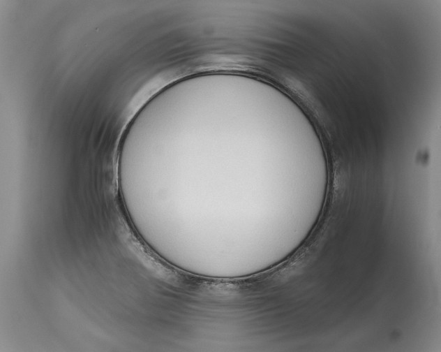 X0000115101370200911171230