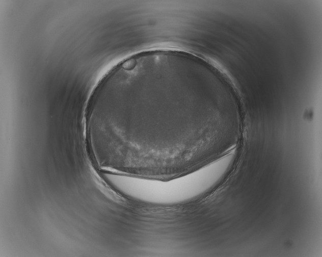 X0000115101372200911171230