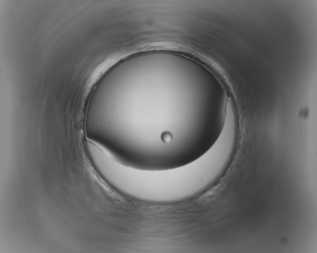 X0000115101373200911171230