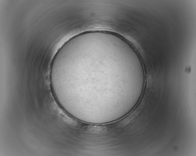 X0000115101374200911171230