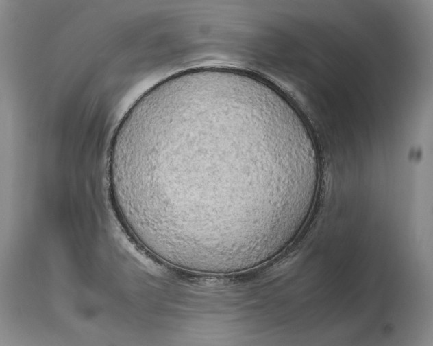 X0000115101375200911171230