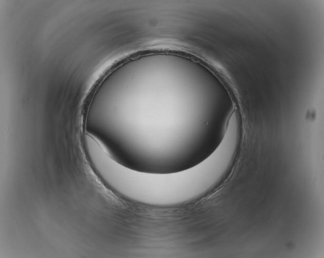 X0000115101376200911171230