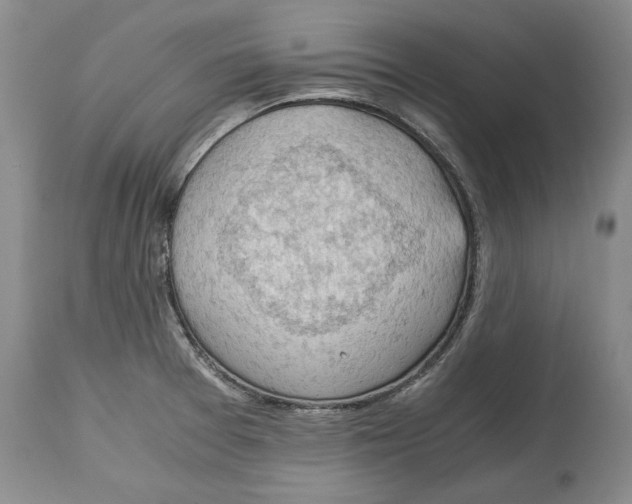 X0000115101377200911171230