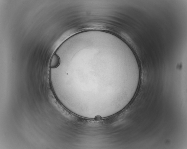 X0000115101378200911171230