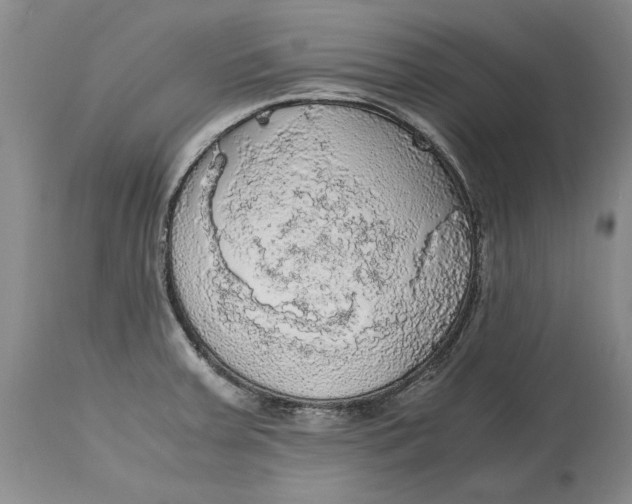 X0000115101379200911171230