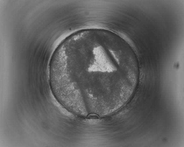 X0000115101380200911171230