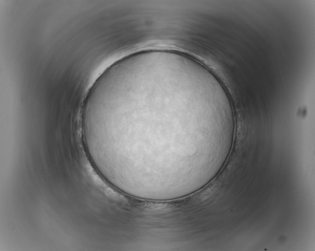 X0000115101382200911171230