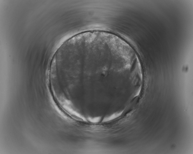 X0000115101383200911171230