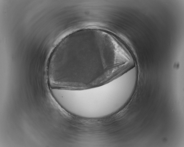 X0000115101384200911171230