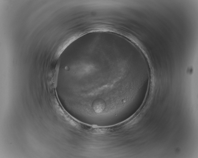 X0000115101385200911171230