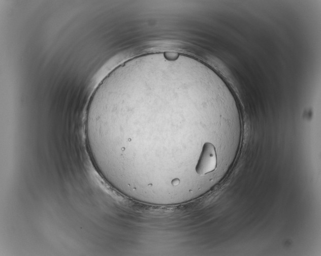 X0000115101386200911171230