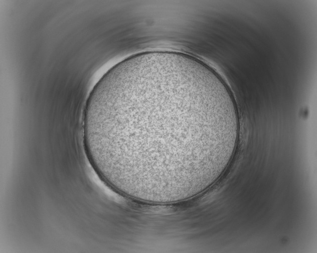 X0000115101387200911171230