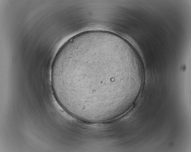 X0000115101388200911171230