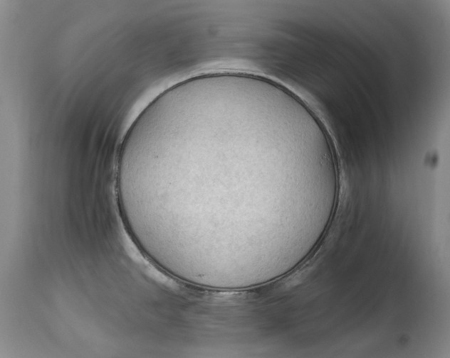 X0000115101390200911171230