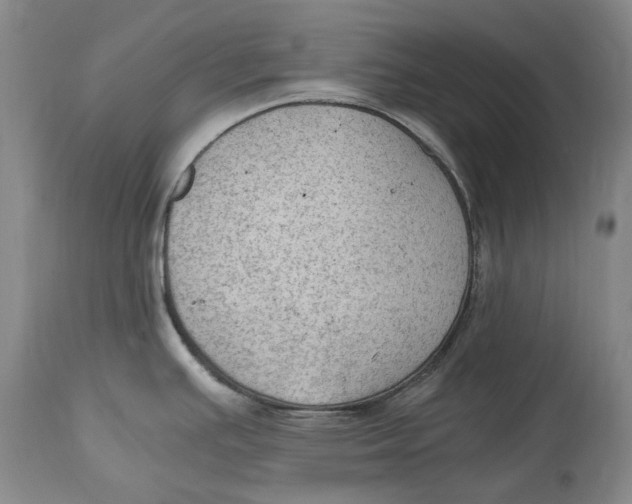 X0000115101391200911171230