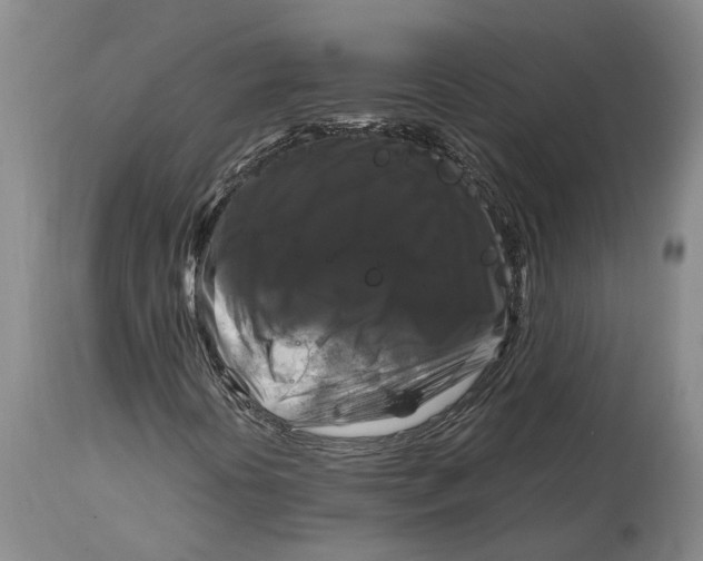 X0000115101394200911171229