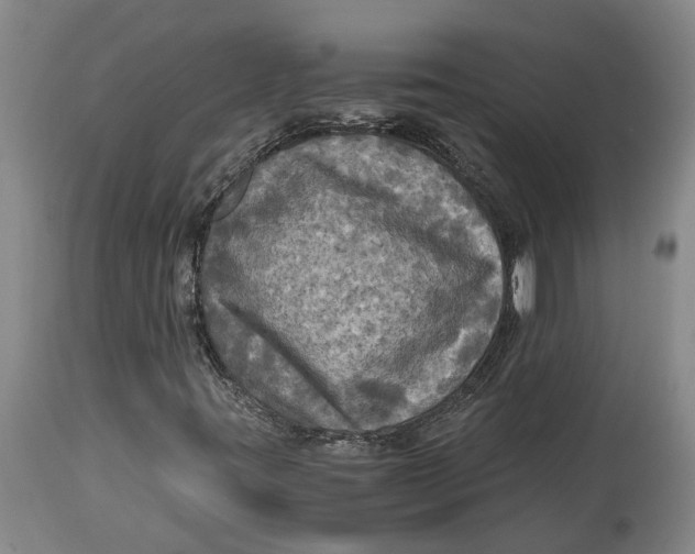 X0000115101395200911171229