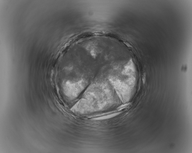 X0000115101396200911171229