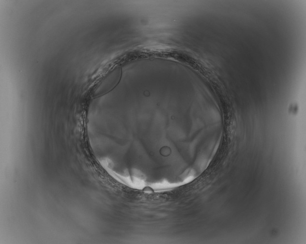 X0000115101397200911171229