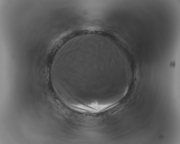 X0000115101398200911171229