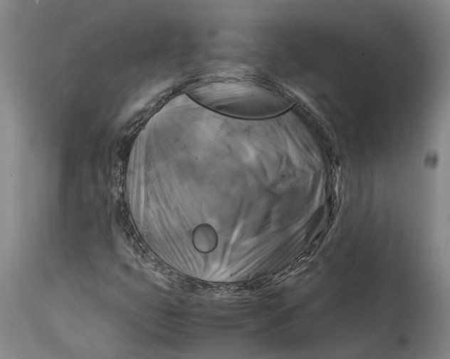 X0000115101399200911171229