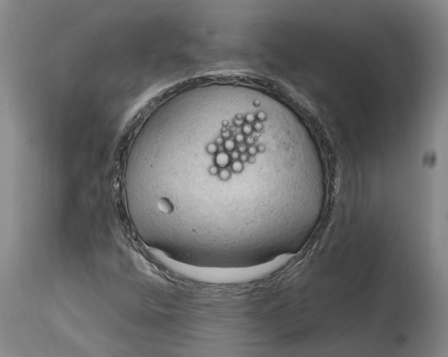 X0000115101400200911171229