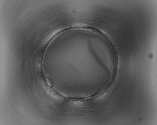 X0000115101401200911171229