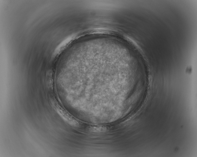 X0000115101403200911171229