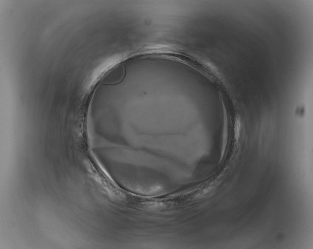 X0000115101405200911171229