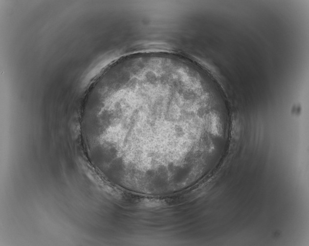 X0000115101407200911171230