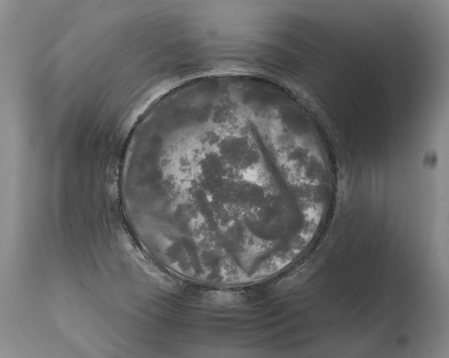 X0000115101409200911171230