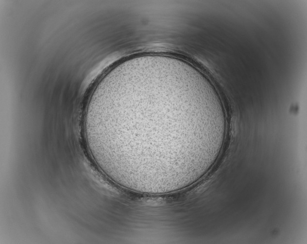 X0000115101410200911171230