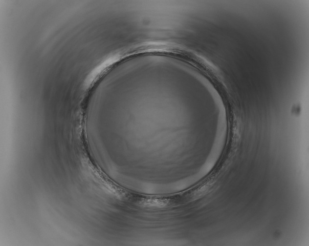 X0000115101411200911171230