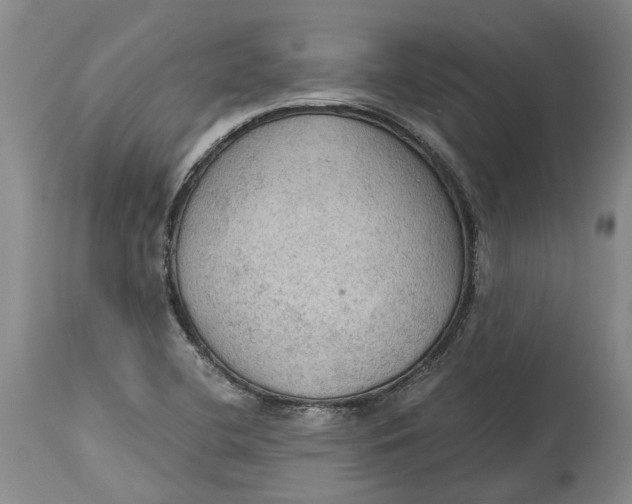 X0000115101412200911171230