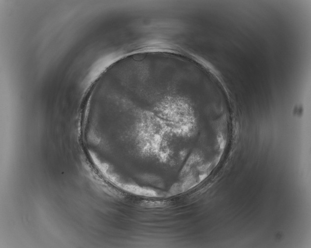 X0000115101415200911171230