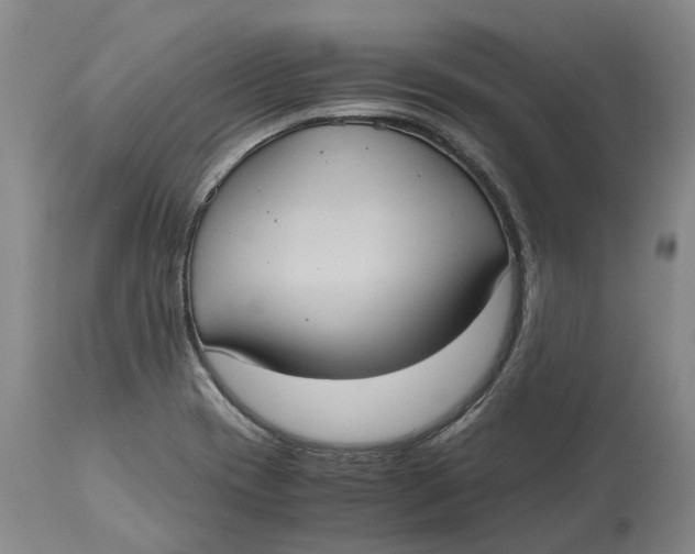 X0000115101417200911171230