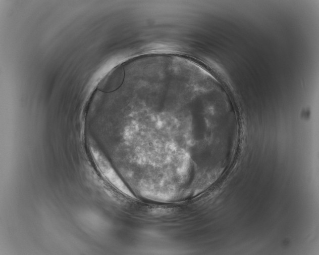 X0000115101419200911171230