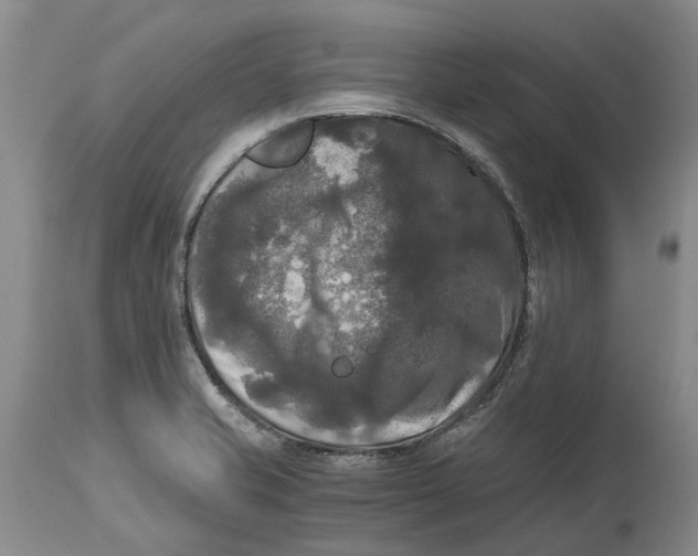 X0000115101421200911171230