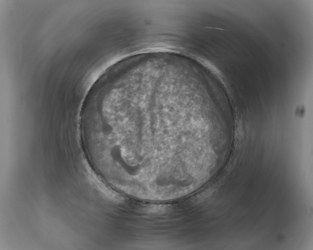 X0000115101423200911171230