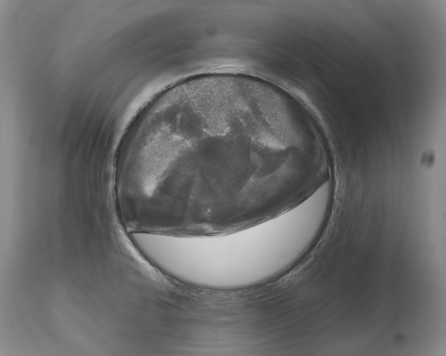 X0000115101424200911171230