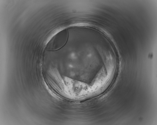 X0000115101425200911171230