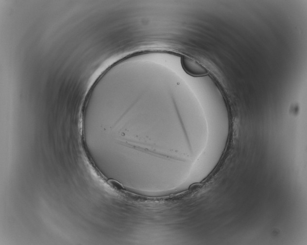 X0000115101428200911171230