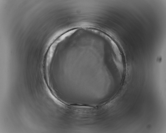 X0000115101429200911171230