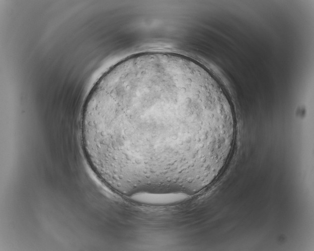 X0000115101432200911171230