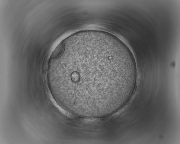 X0000115101437200911171230