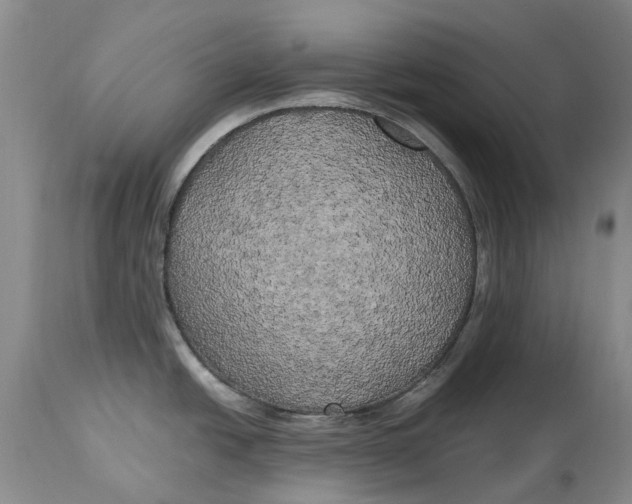 X0000115101438200911171230