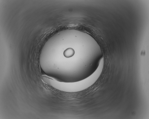 X0000115101441200911171229