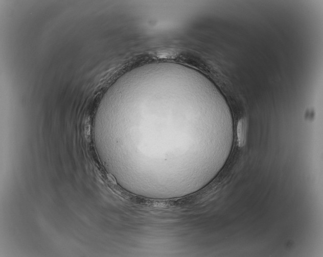 X0000115101443200911171229