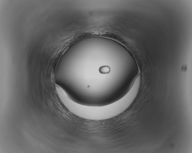 X0000115101444200911171229