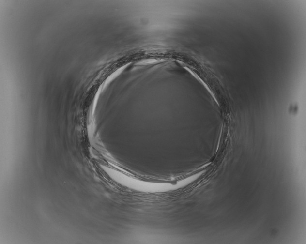 X0000115101445200911171229